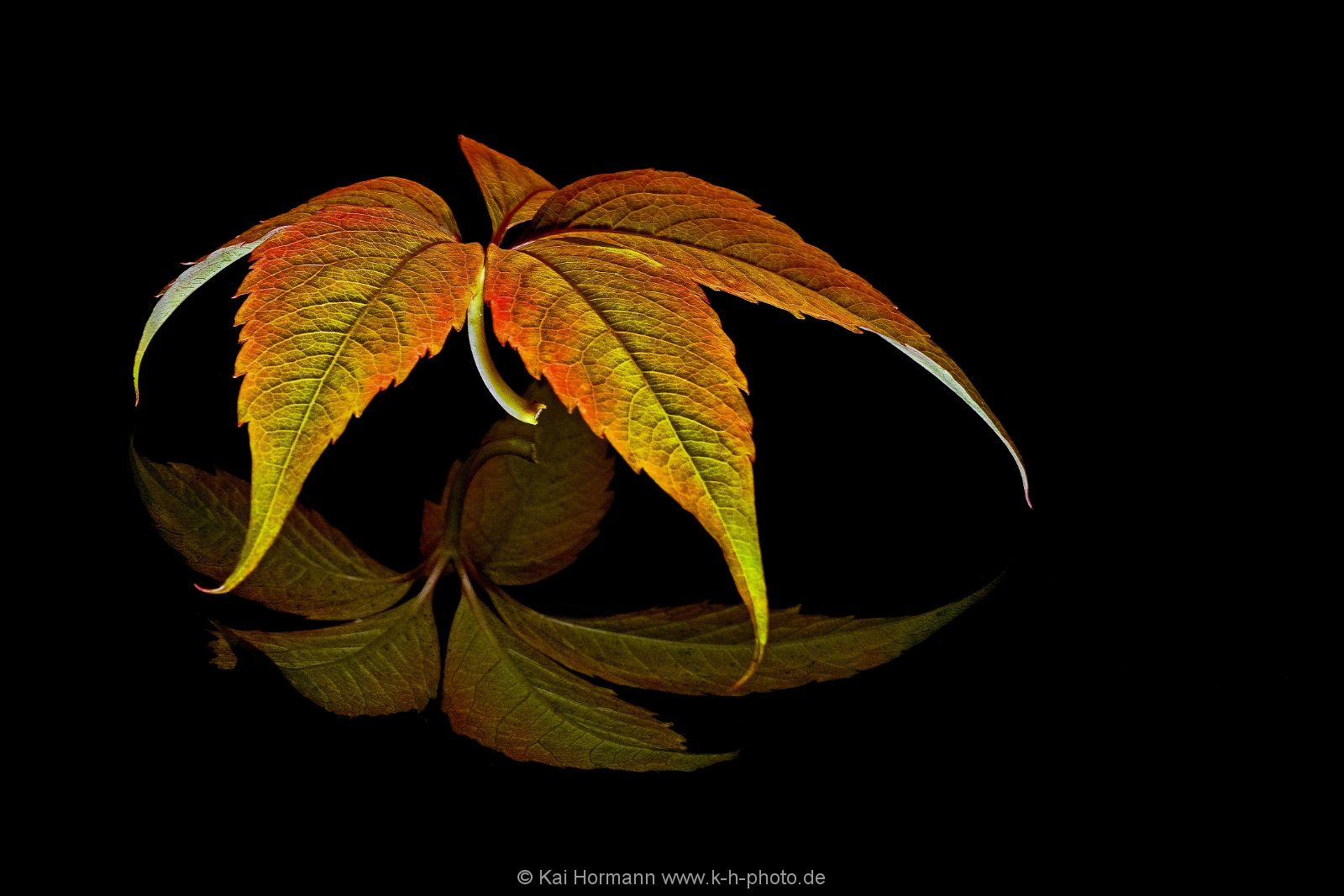 diverses-046 Diverse Natur und Landschaftsfotos.