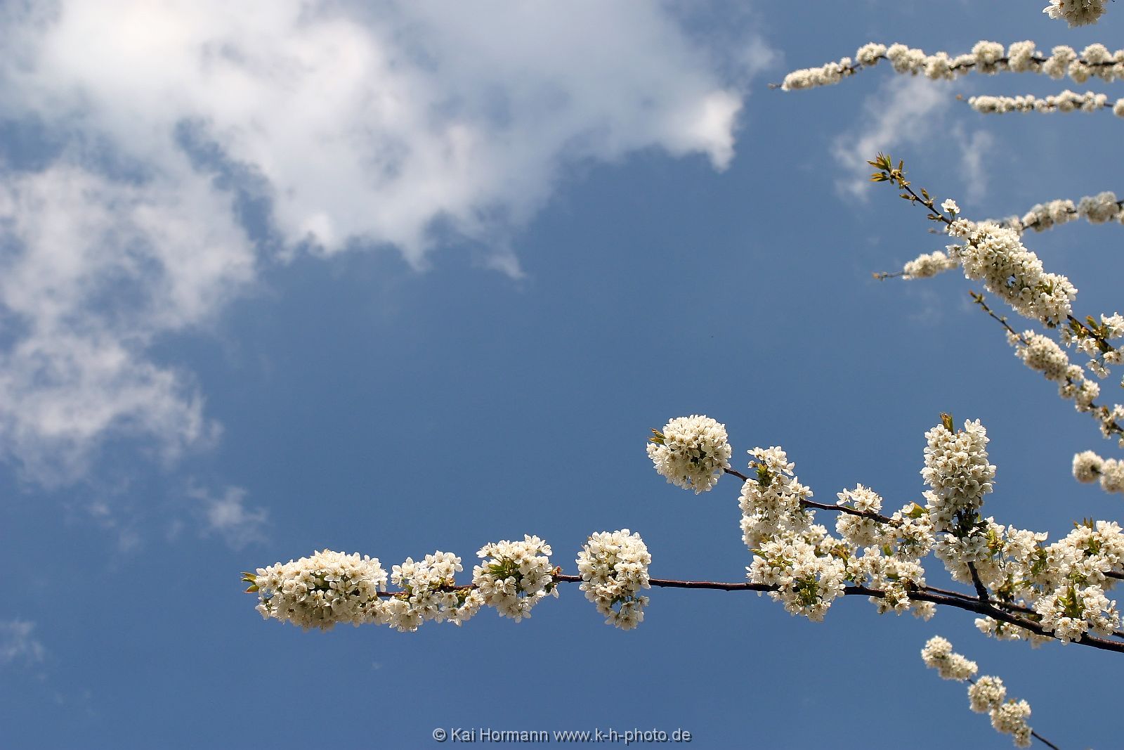 diverses-049 Diverse Natur und Landschaftsfotos.