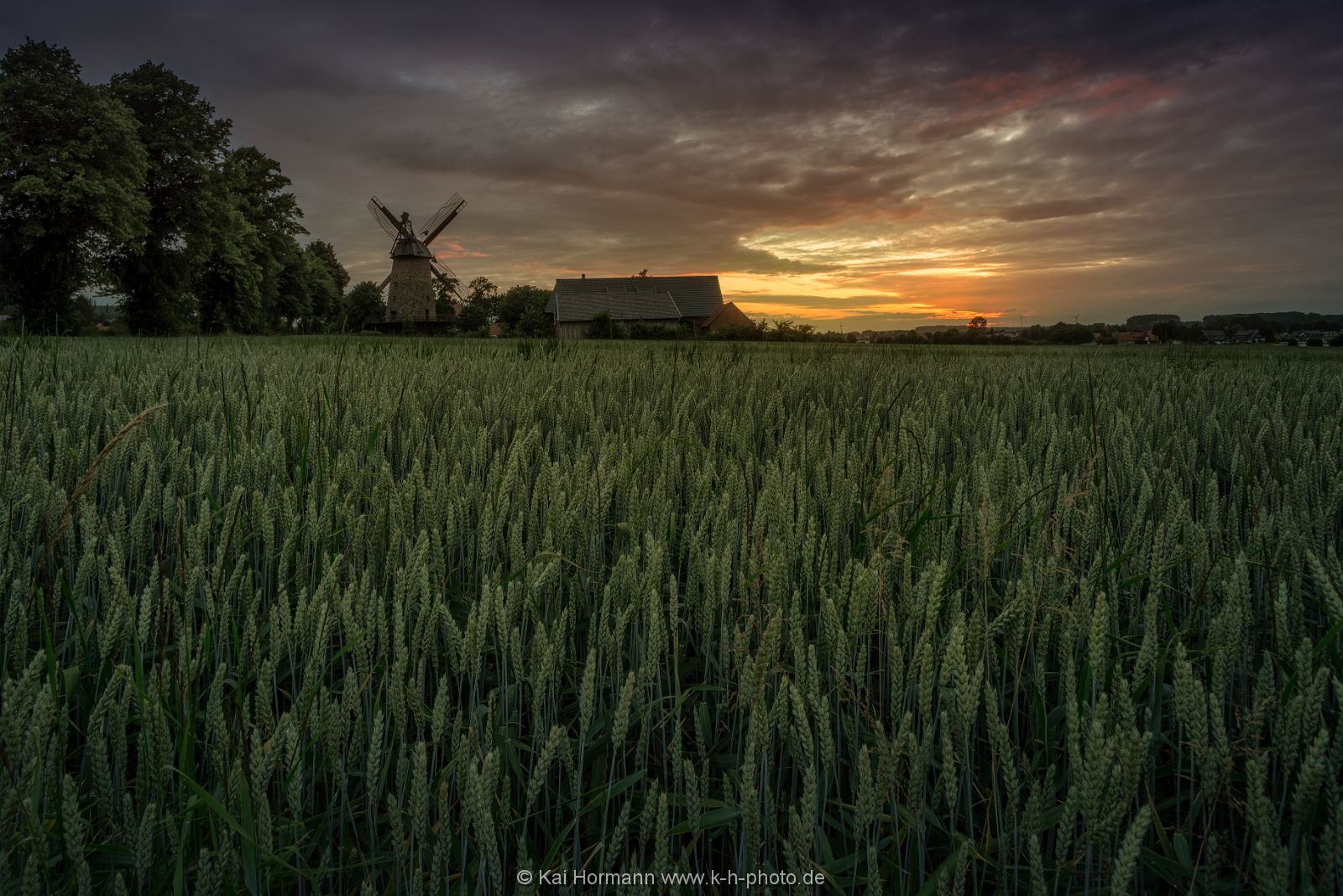 muele-im-korn Diverse Natur und Landschaftsfotos.