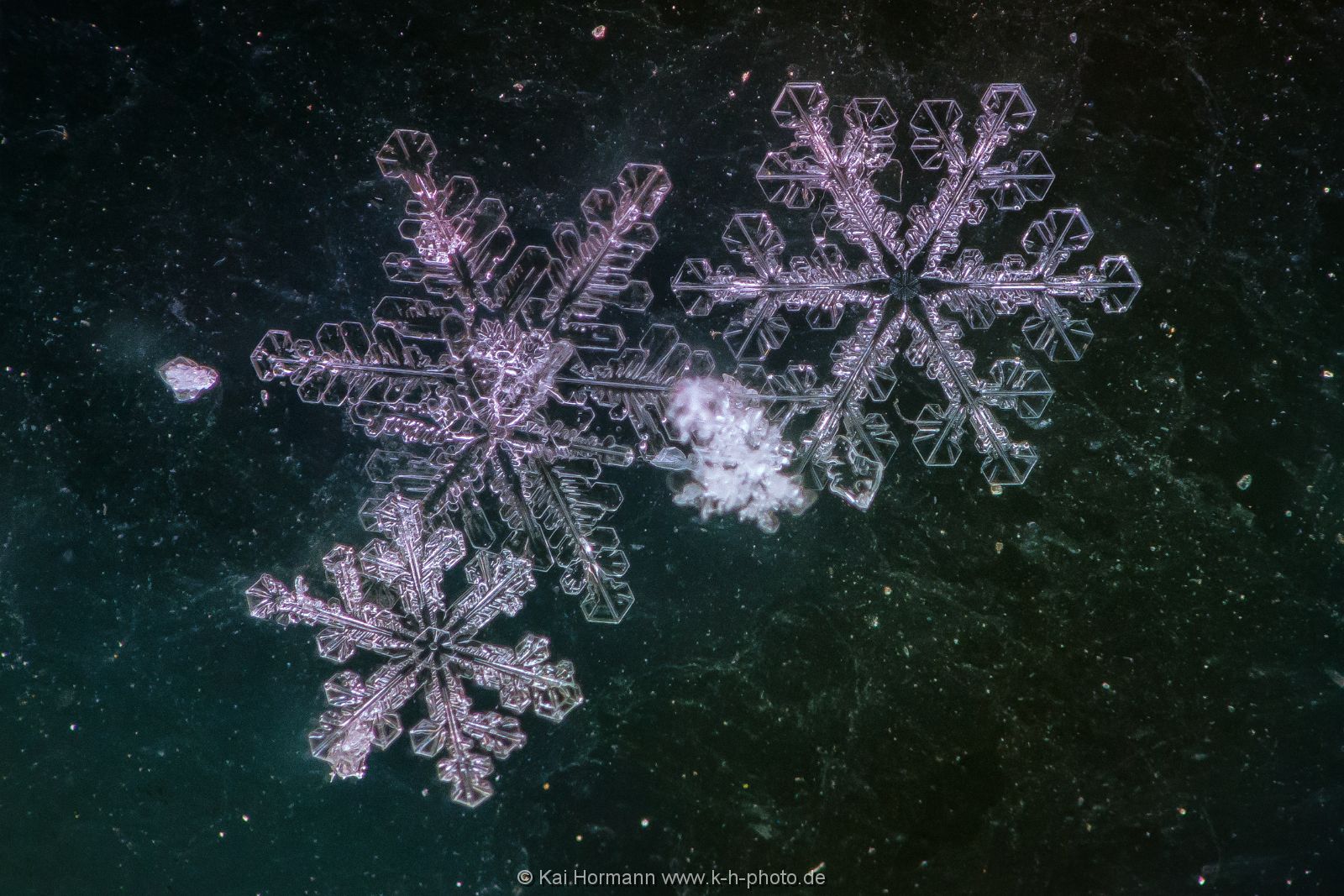 neuschnee Diverse Natur und Landschaftsfotos.