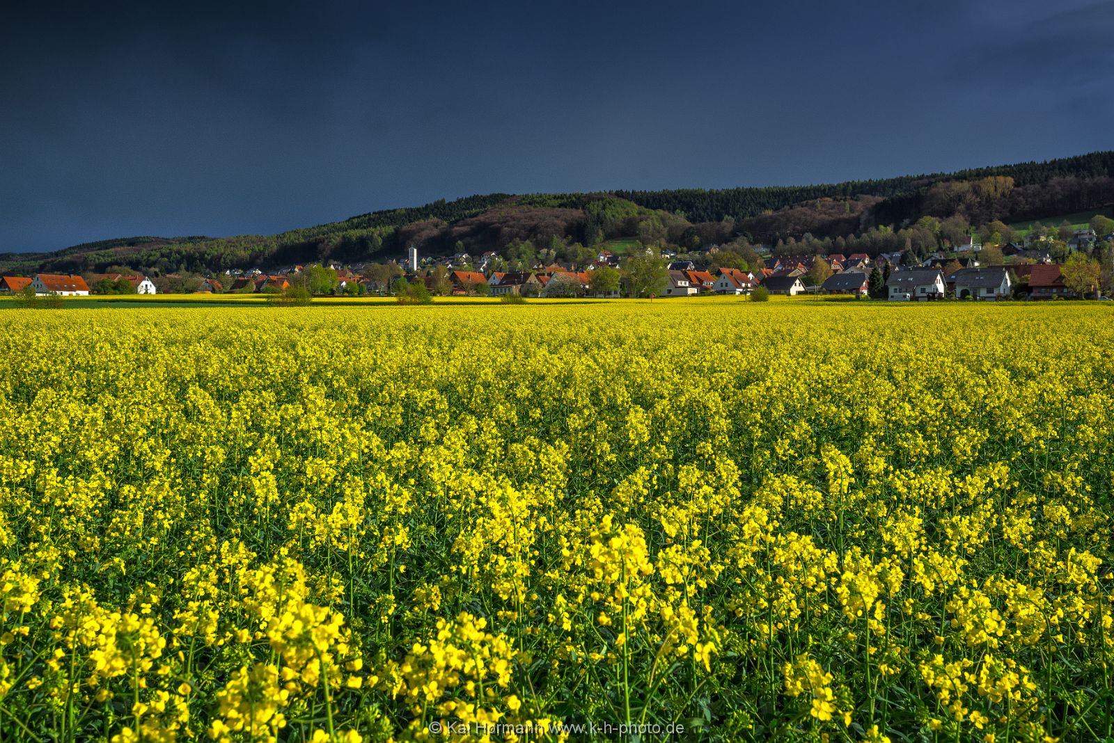 rapsfeld-mit-blick-in-richtung-nettelstedt-april-2017 Diverse Natur und Landschaftsfotos.