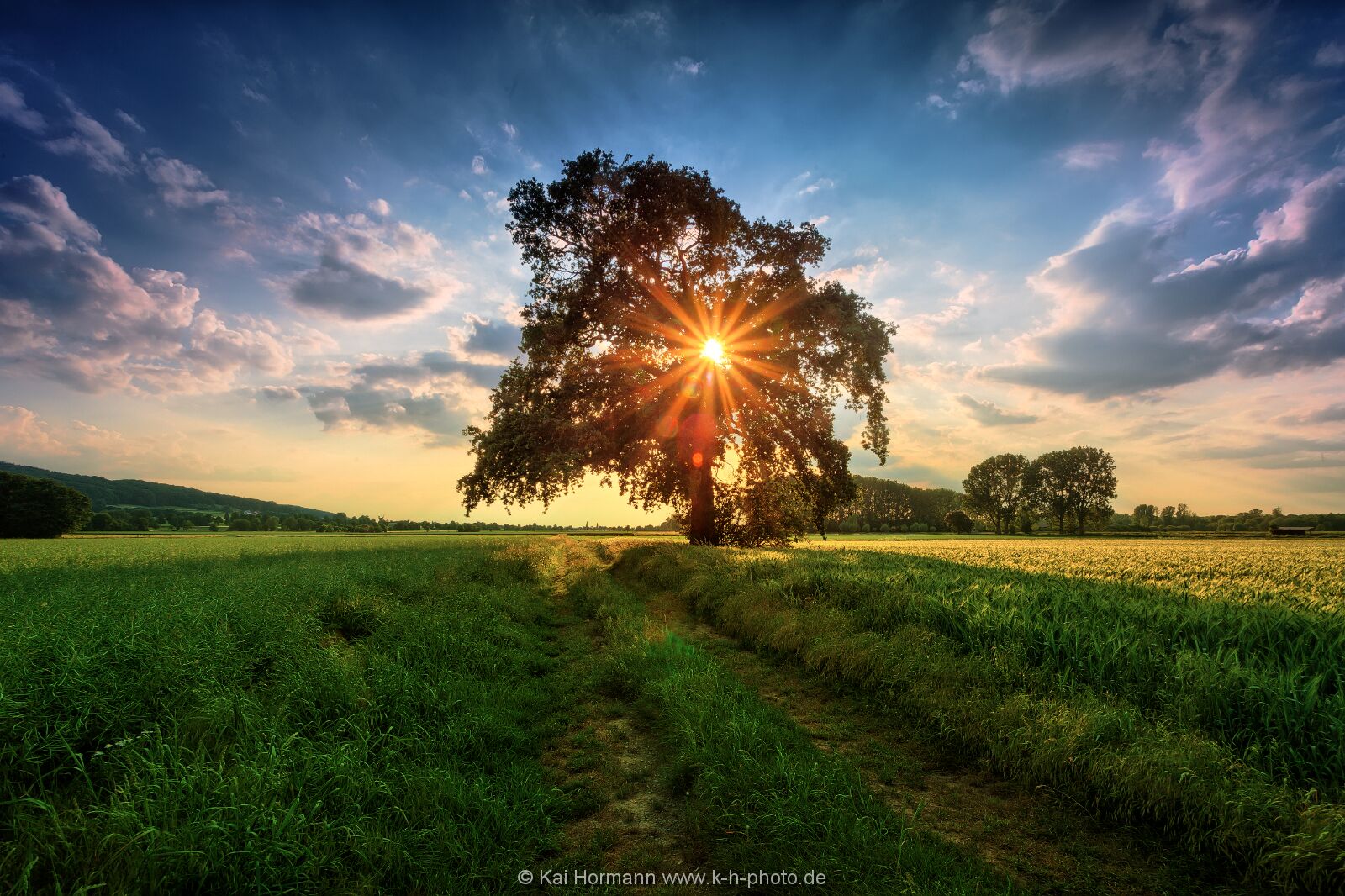 sommerlicht Diverse Natur und Landschaftsfotos.