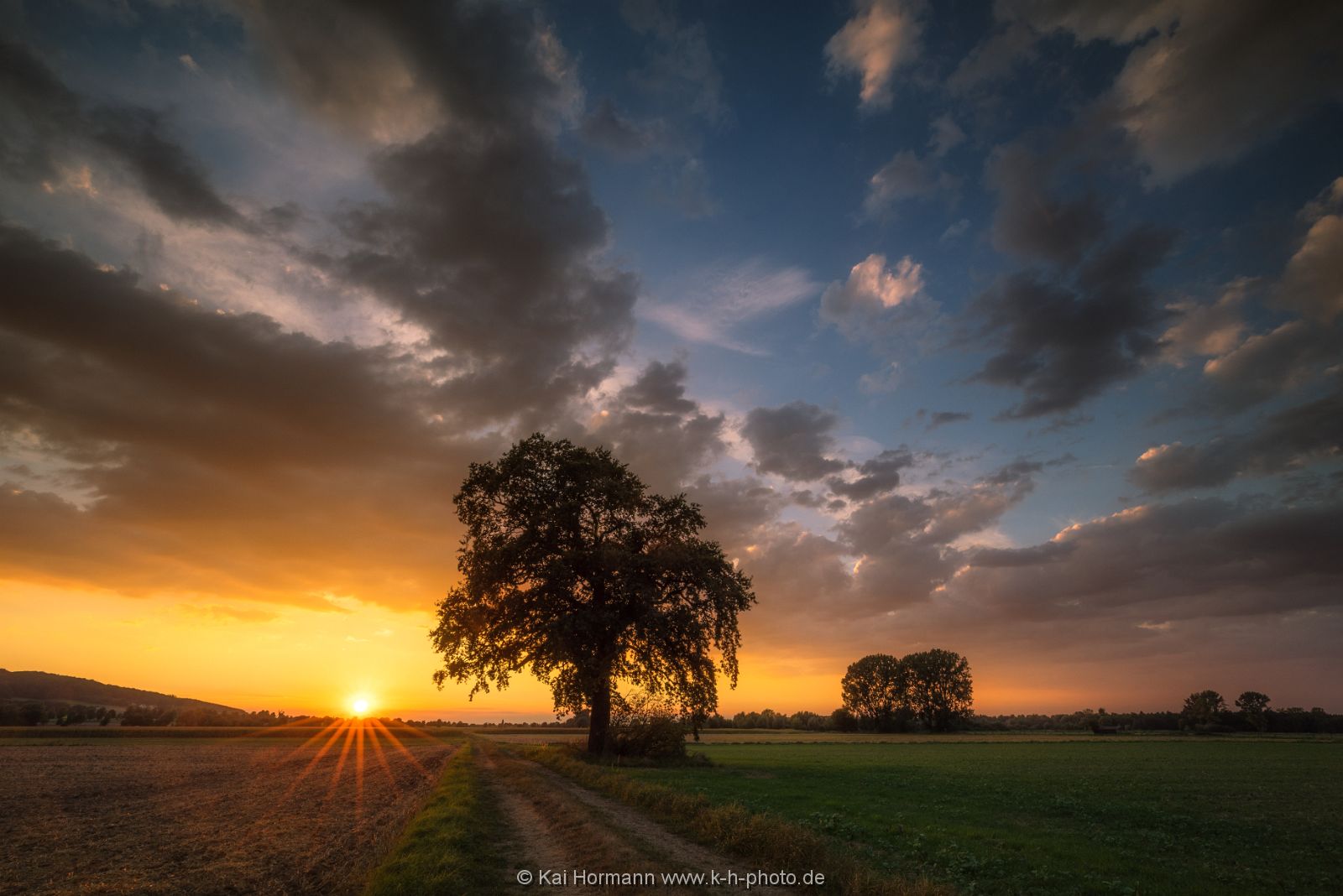 sonnenuntergang-an-der-alten-eiche Diverse Natur und Landschaftsfotos.