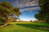 moorwiese_herbst_2020_1 Diverse Natur und Landschaftsfotos.