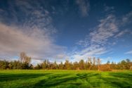 moorwiese_herbst_2020_2 Diverse Natur und Landschaftsfotos.