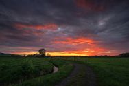 nettelstedt-aspel-im-abendlicht-2 Diverse Natur und Landschaftsfotos.