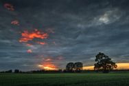 regen_im_mai_2020 Diverse Natur und Landschaftsfotos.