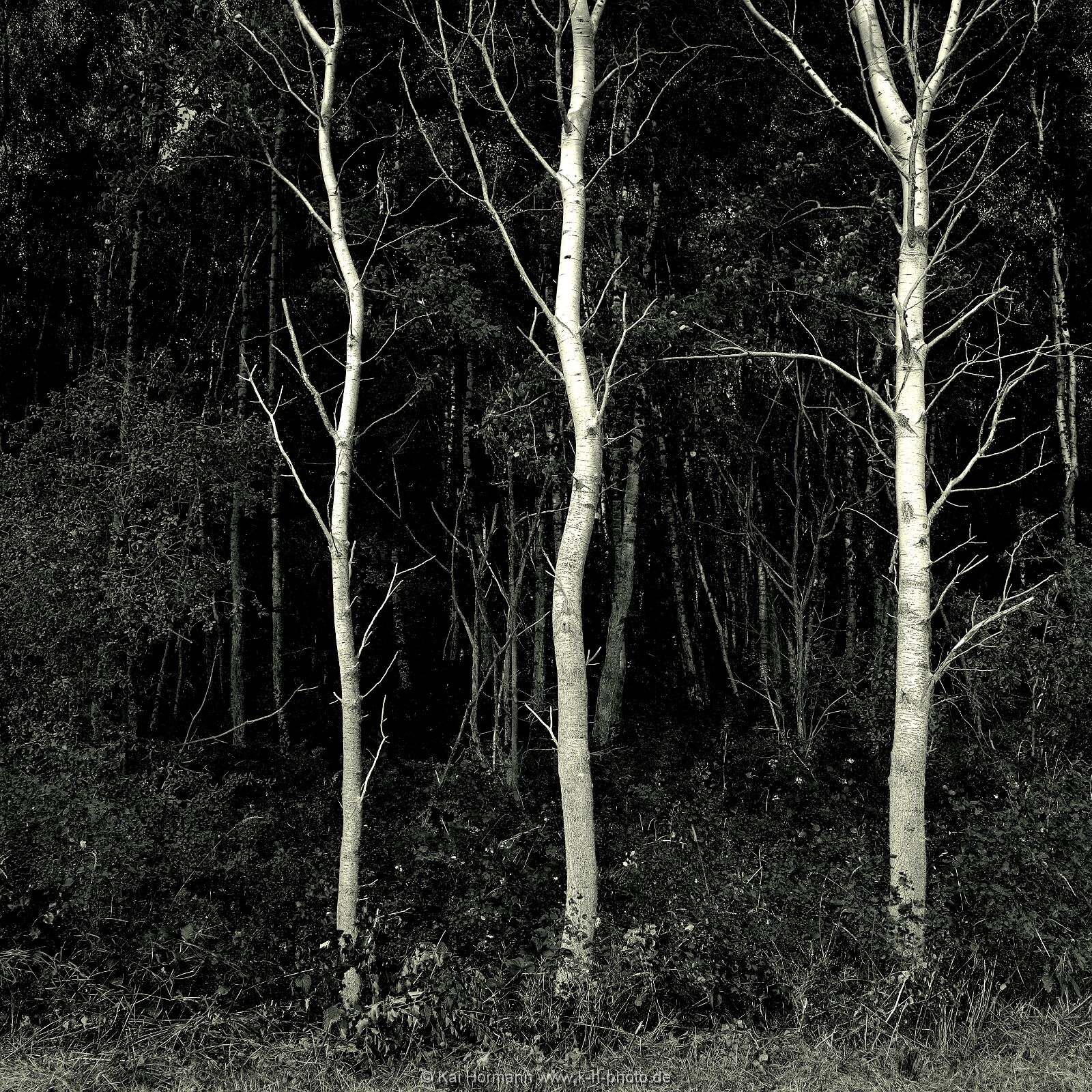 format-6x6-056 Bilder im Format 6x6.