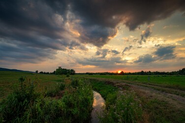 Juliregen an der Flöthe bei Nettelstedt, 2026.