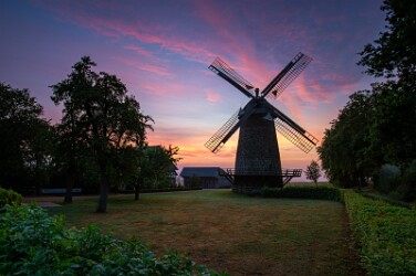Morgendämmerung über der Eilhauswr Windmühle. 31 Juli 2026.