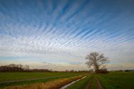 Wetterwechsel über dem Moor. März 2023. Bilder aus dem Kreis Minden-Lübbecke.