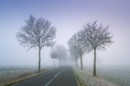 Eichholzer Straße im Nebel. Bilder aus dem Kreis Minden-Lübbecke.