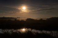 Vollmond über dem großen Torfmoor. Oktober 2024. Bild 1.