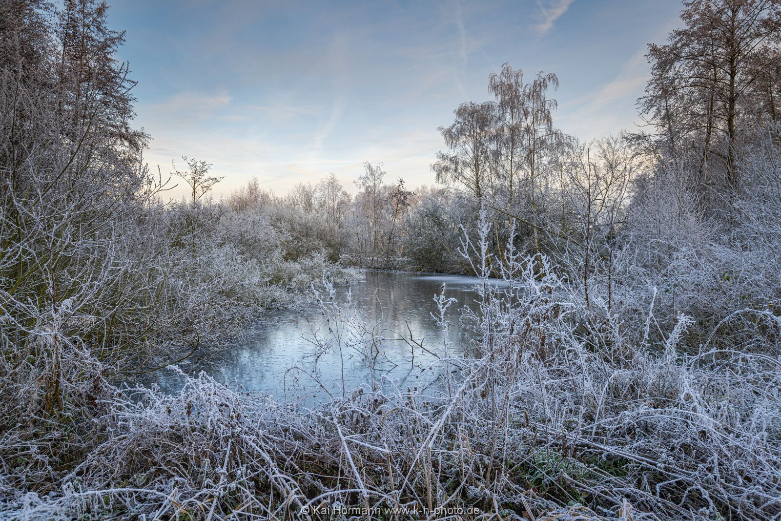 Östliches großes Torfmoor. 22.12.2021. (1) Das Große Torfmoor, östlicher Bereich.