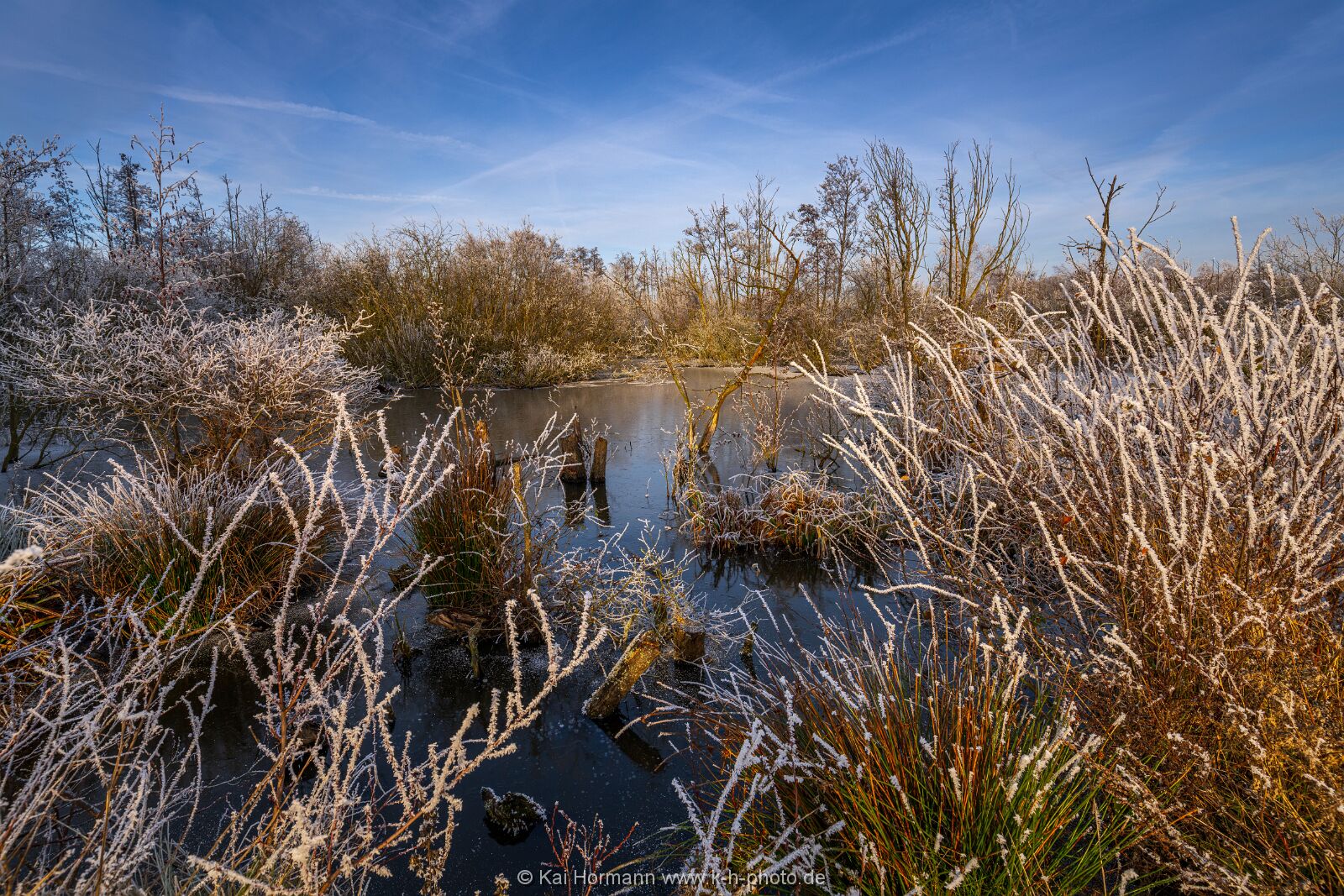 Östliches großes Torfmoor. 22.12.2021. (4) Das Große Torfmoor, östlicher Bereich.