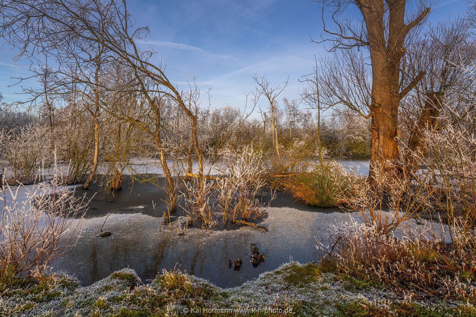 Östliches großes Torfmoor. 22.12.2021. (5) Das Große Torfmoor, östlicher Bereich.