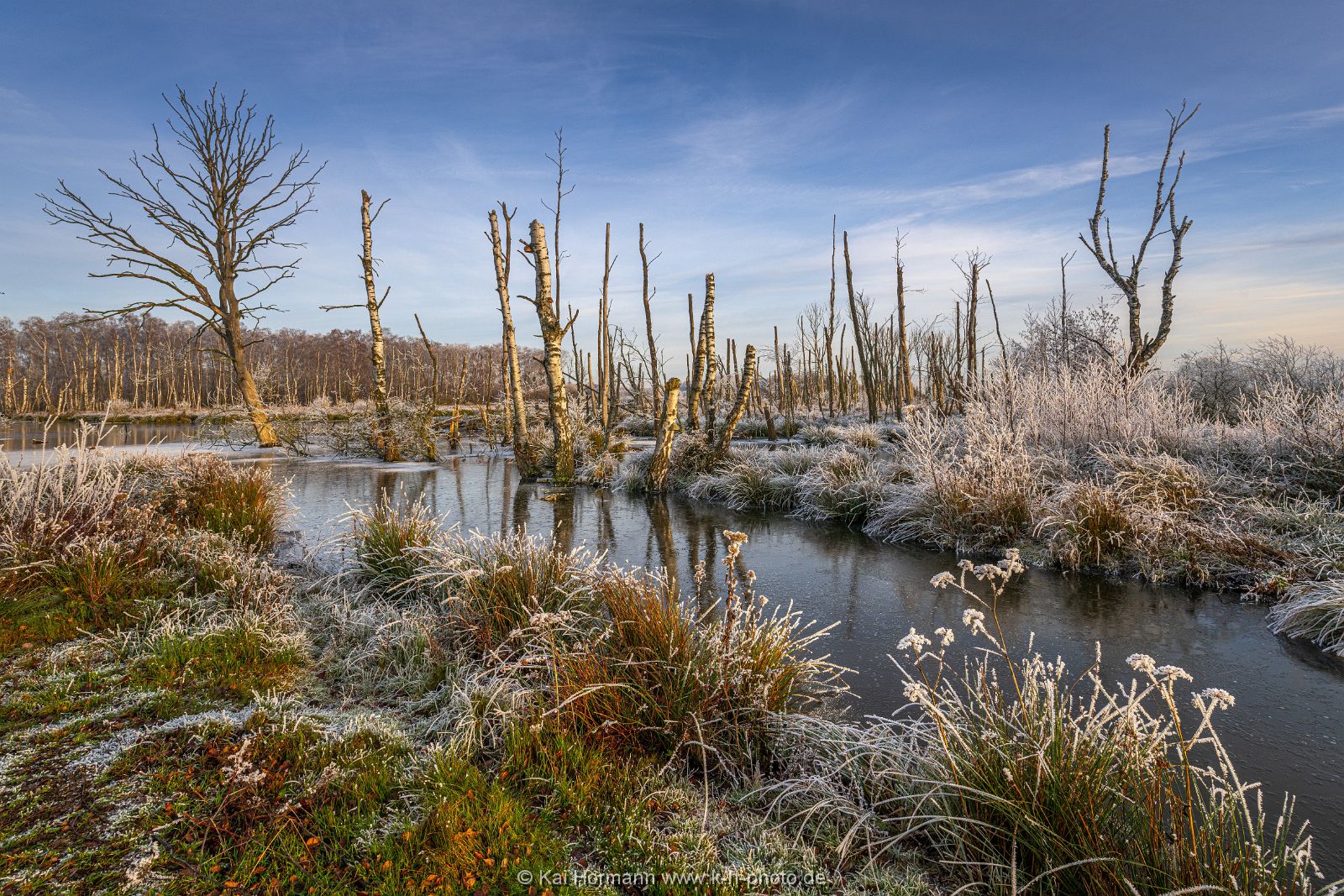 Östliches großes Torfmoor. 22.12.2021. (6) Das Große Torfmoor, östlicher Bereich.