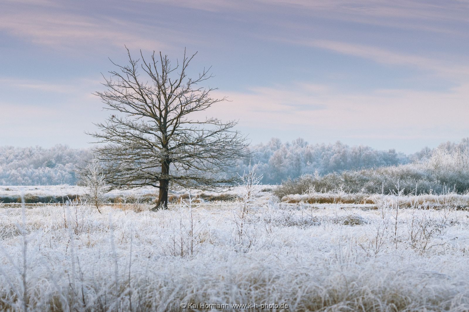 Großes Torfmoor Das Große Torfmoor im Winter 2021.