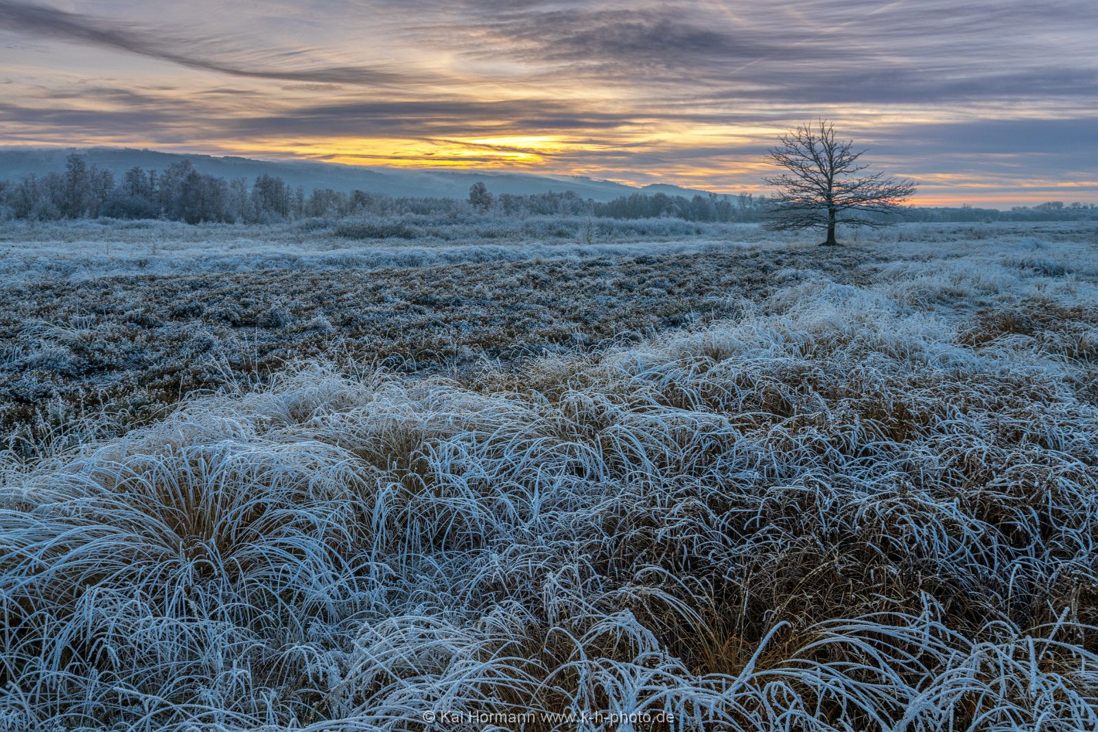 Großes Torfmoor Das Große Torfmoor im Winter 2021.