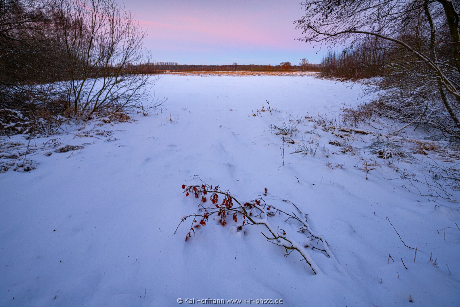 Das Große Torfmoor im Winter, Jan 2026, Bild 15 