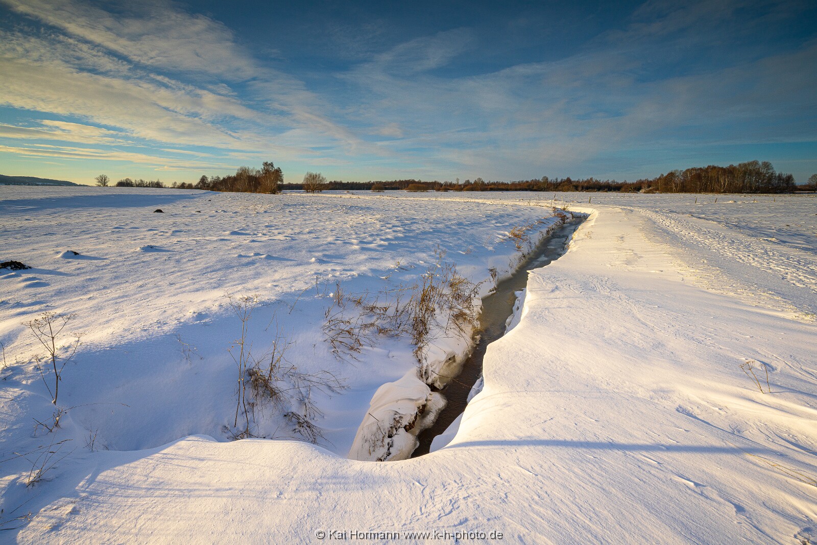 Das Große Torfmoor im Winter, Jan 2026, Bild 16 