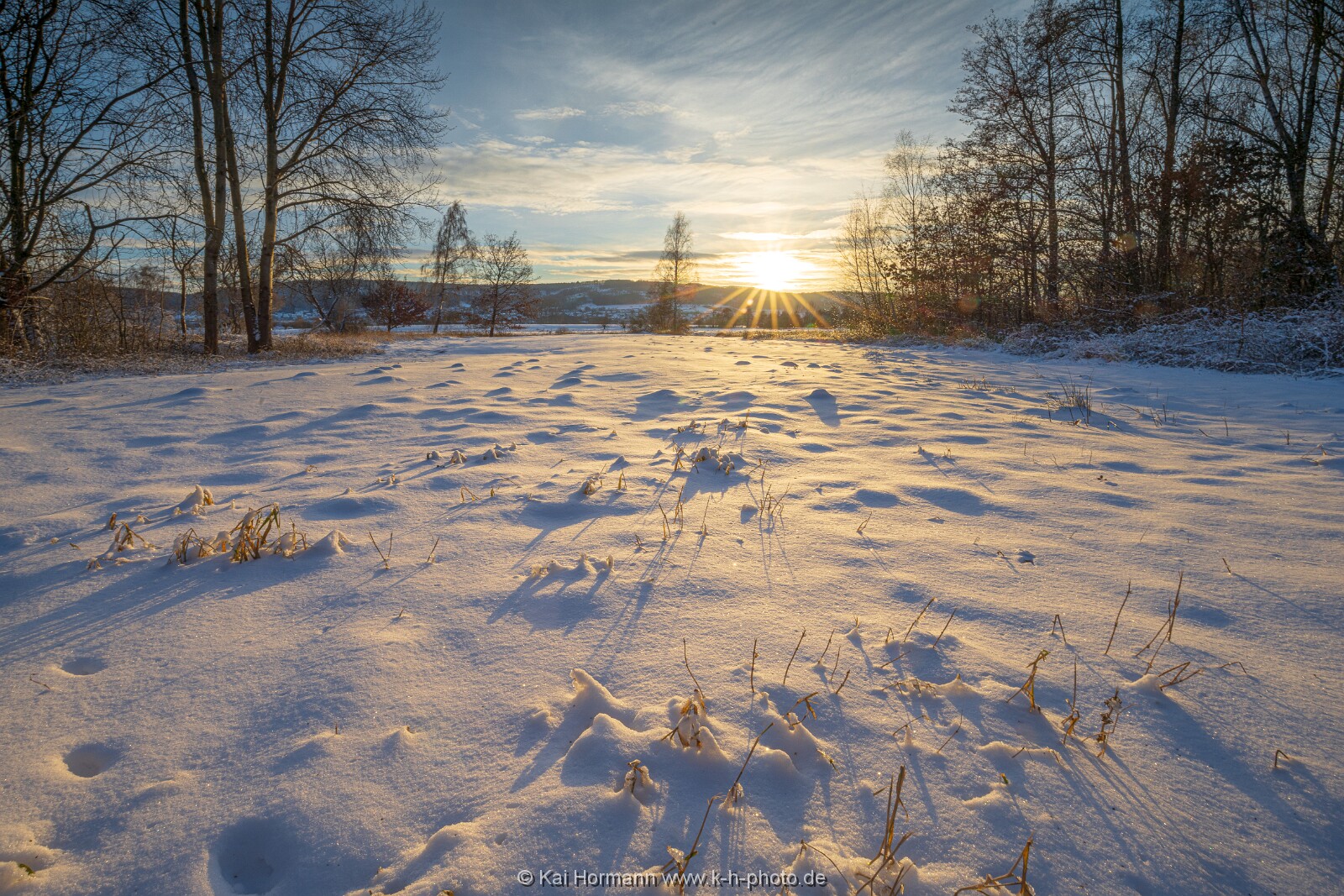 Das Große Torfmoor im Winter, Jan 2026, Bild 17 
