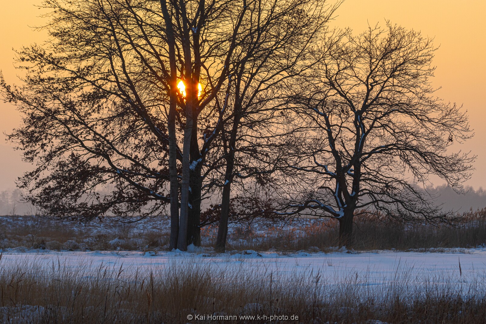 Das Große Torfmoor im Winter, Jan 2026, Bild 18 