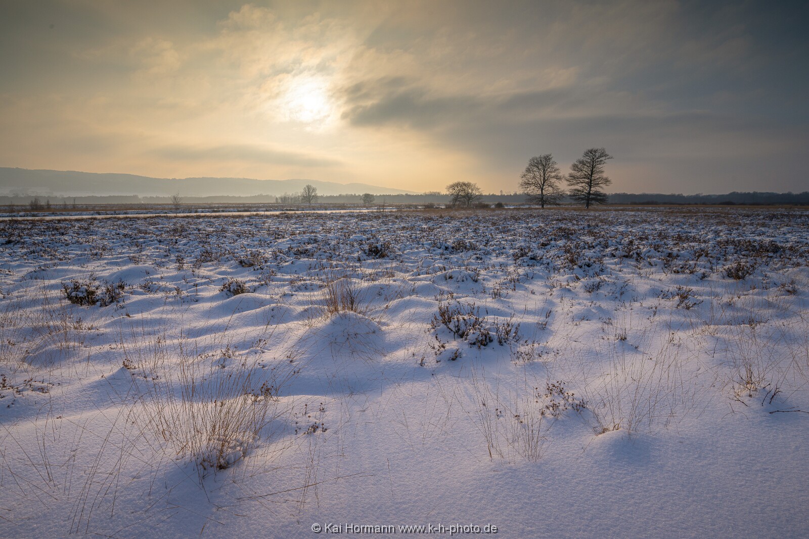 Das Große Torfmoor im Winter, Jan 2026, Bild 19 