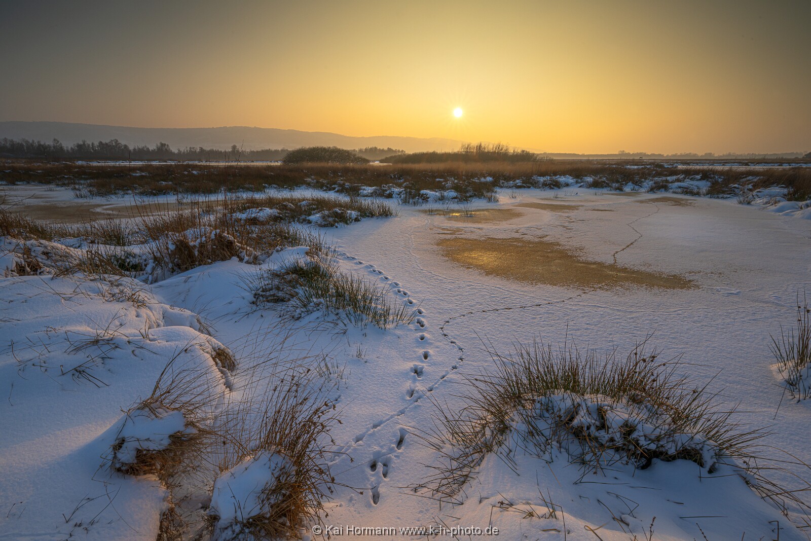 Das Große Torfmoor im Winter, Jan 2026, Bild 23 