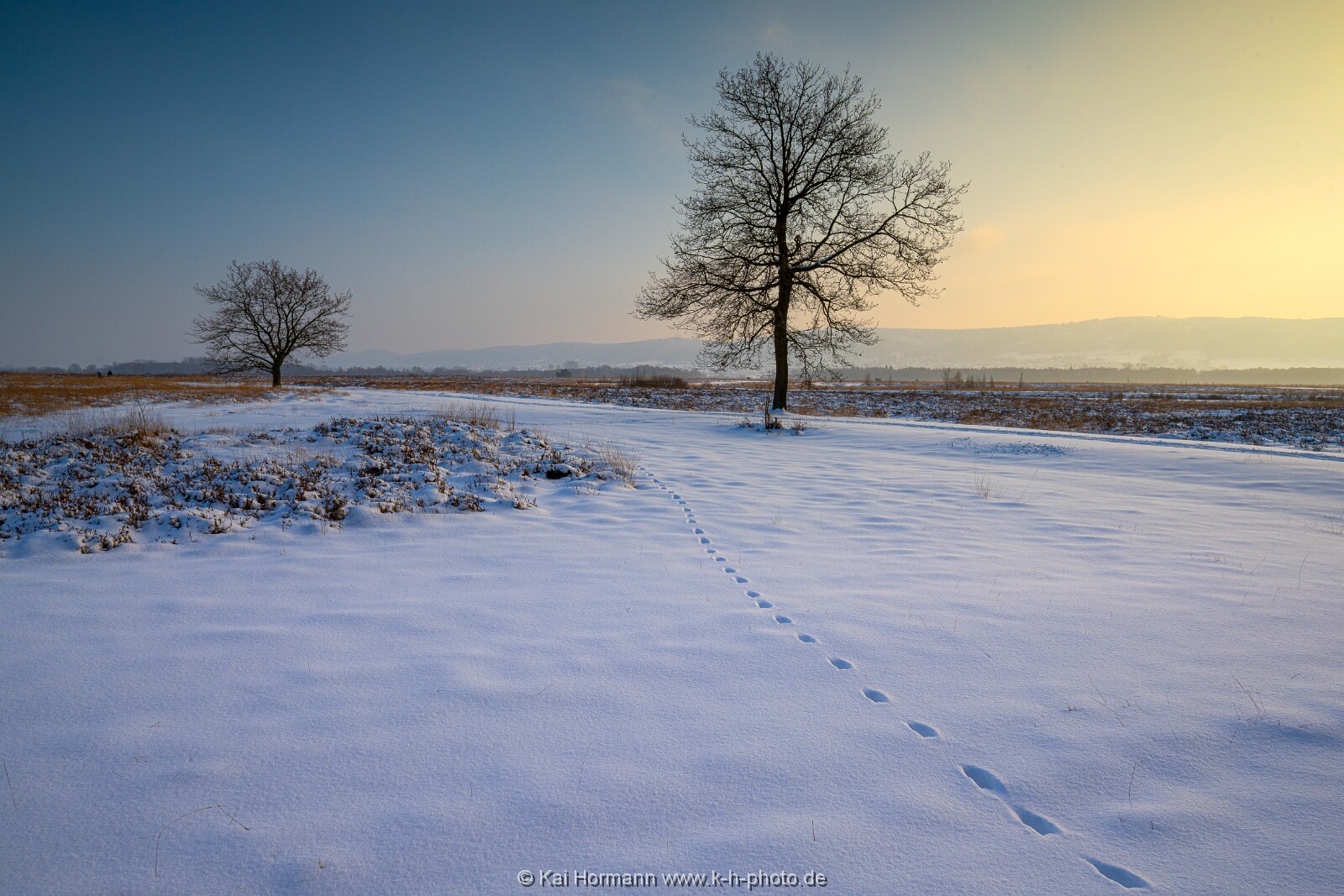 Das Große Torfmoor im Winter, Jan 2026, Bild 24 