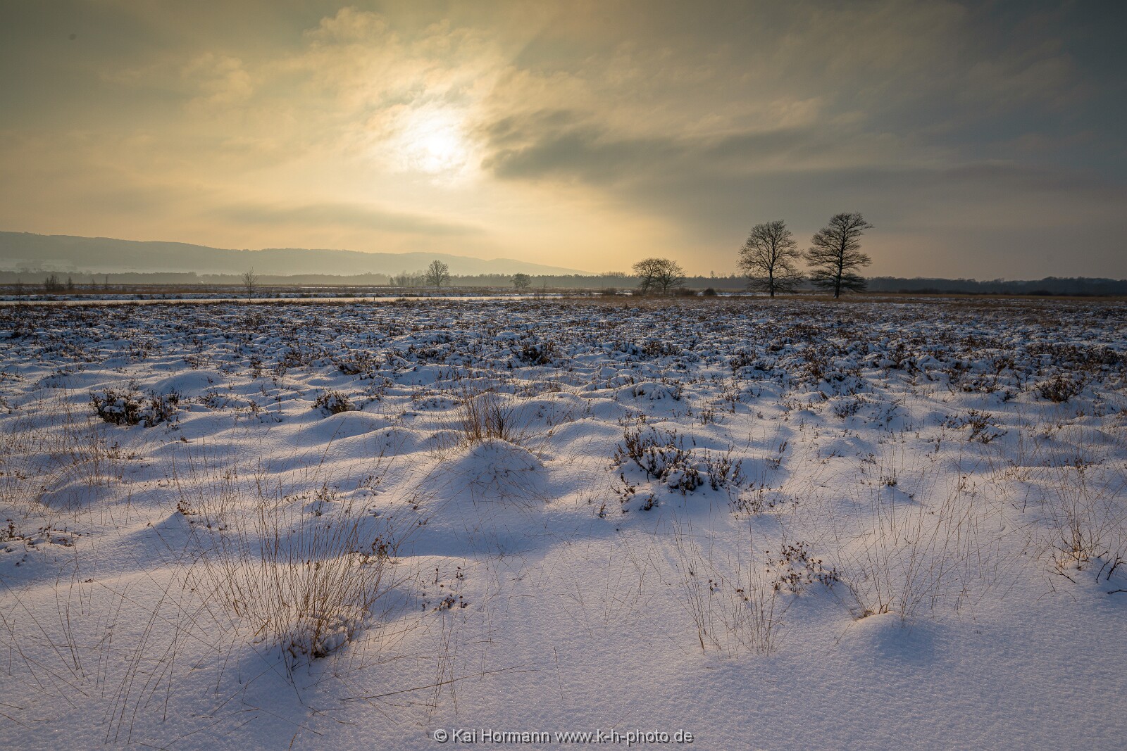 Das Große Torfmoor im Winter, Jan 2026, Bild 25 