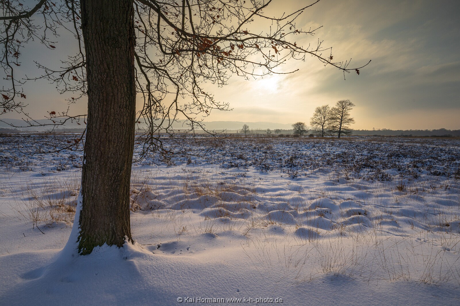 Das Große Torfmoor im Winter, Jan 2026, Bild 27 