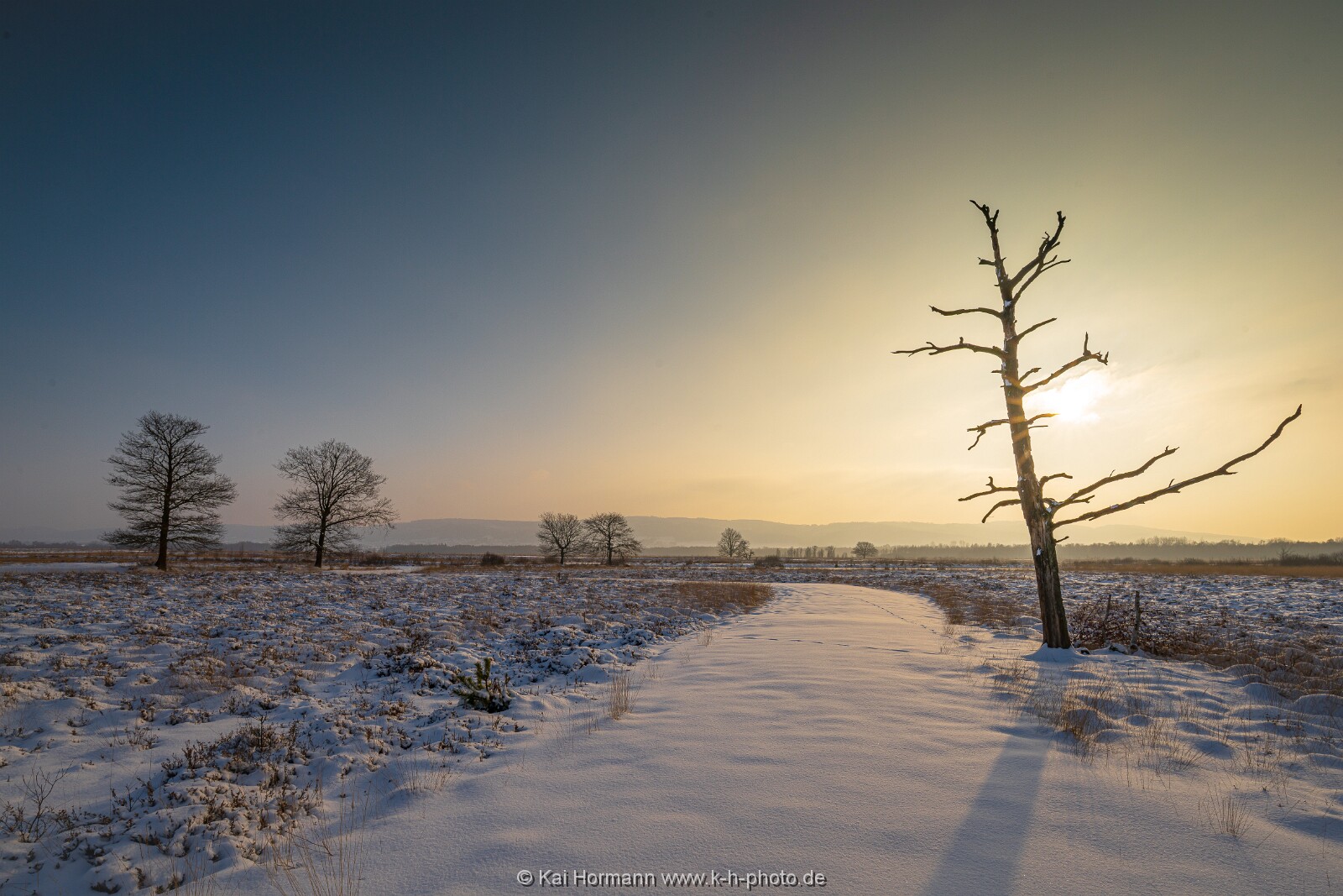 Das Große Torfmoor im Winter, Jan 2026, Bild 28 