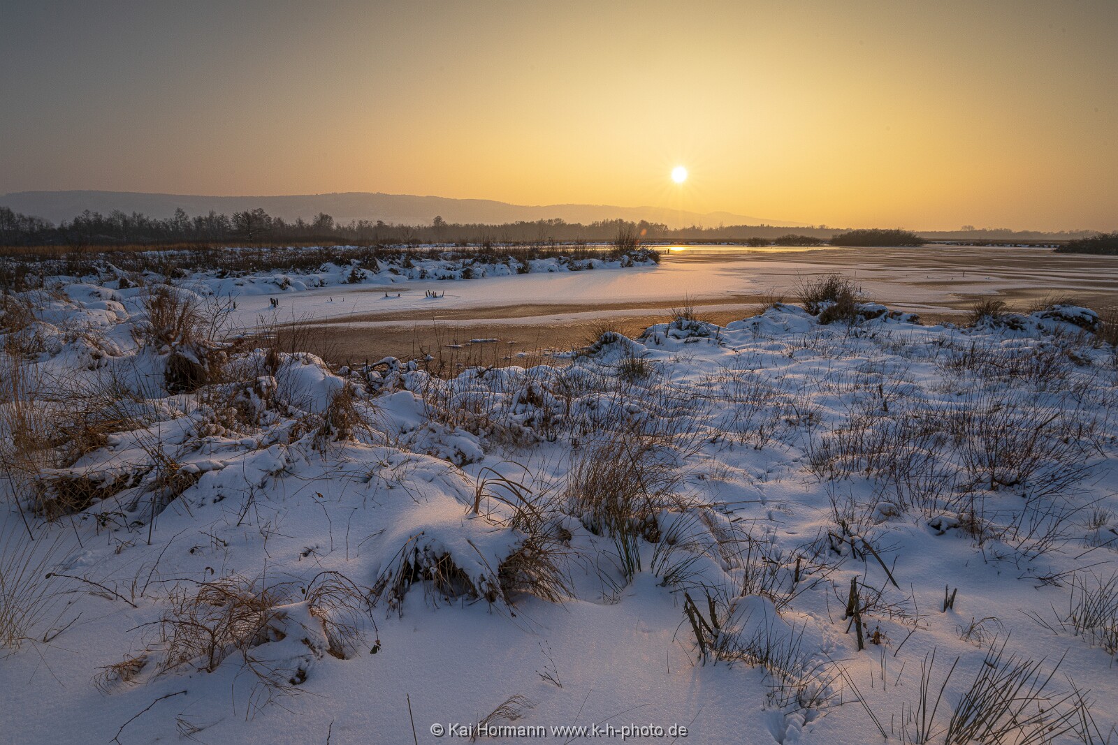 Das Große Torfmoor im Winter, Jan 2026, Bild 29 