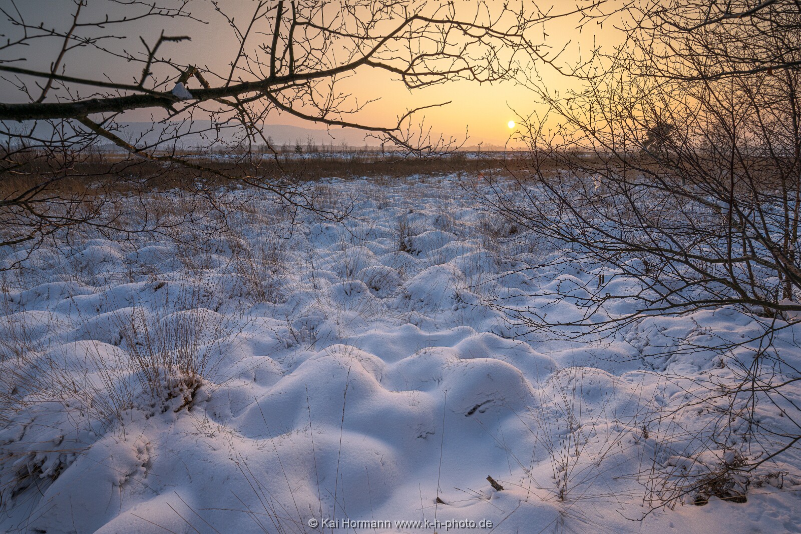 Das Große Torfmoor im Winter, Jan 2026, Bild 30 