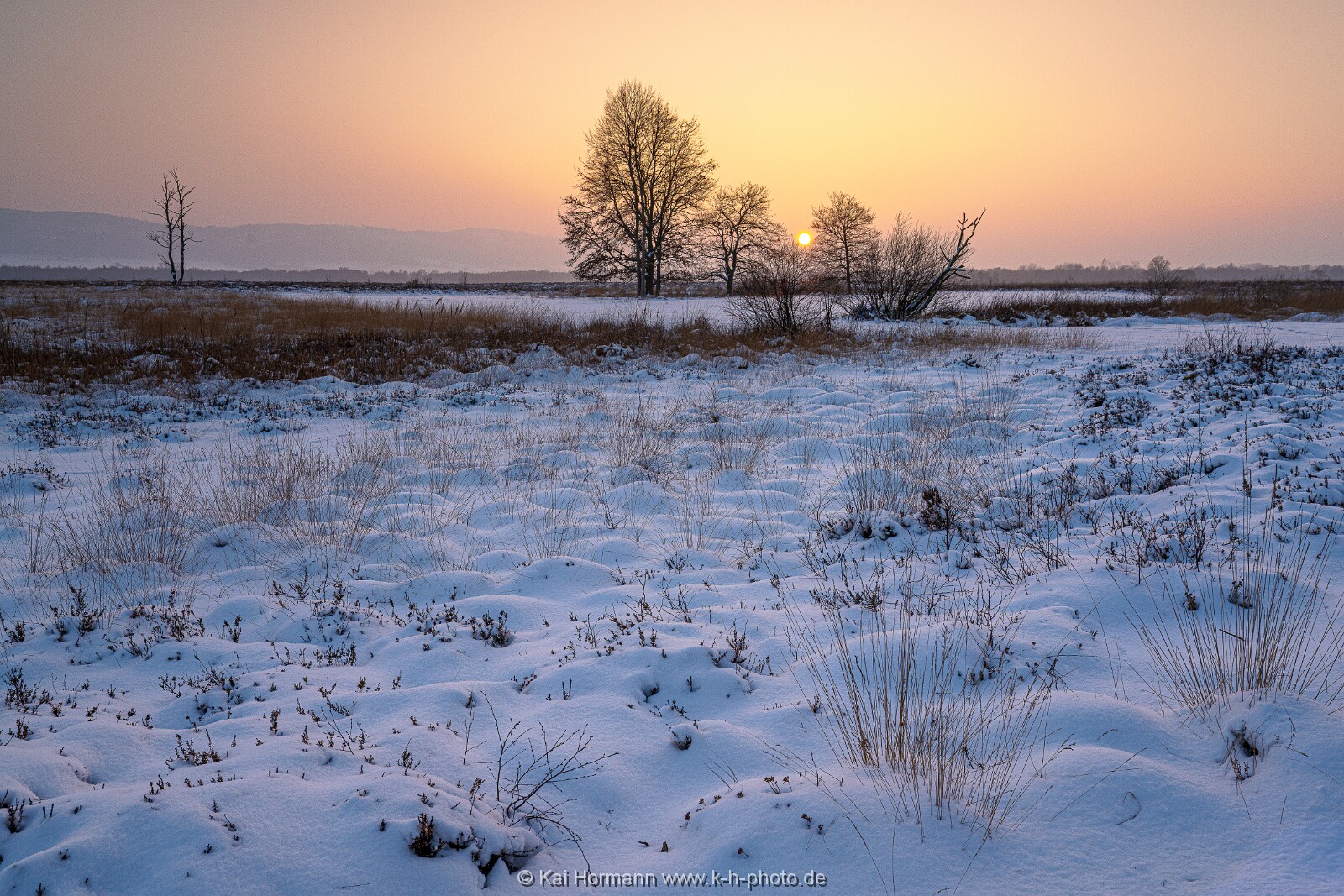 Das Große Torfmoor im Winter, Jan 2026, Bild 33 