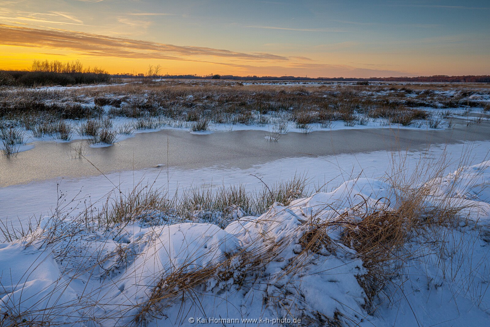 Das Große Torfmoor im Winter, Jan 2026, Bild 4 