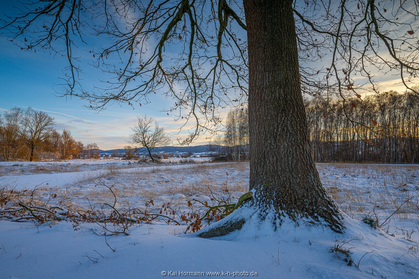Das Große Torfmoor im Winter, Jan 2026, Bild 7 