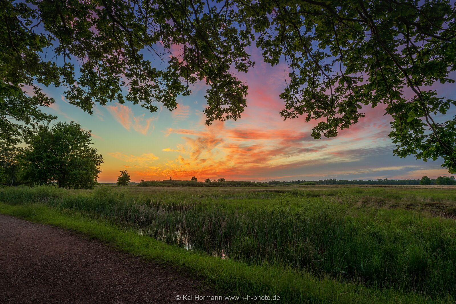 Großes Torfmoor Das Große Torfmoor.