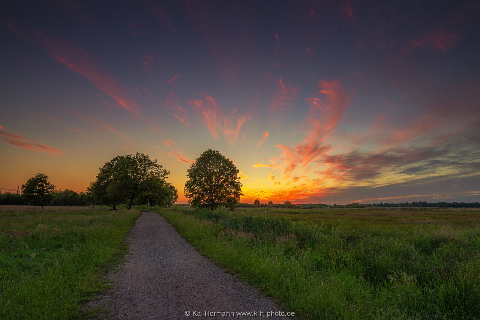Großes Torfmoor Das Große Torfmoor.