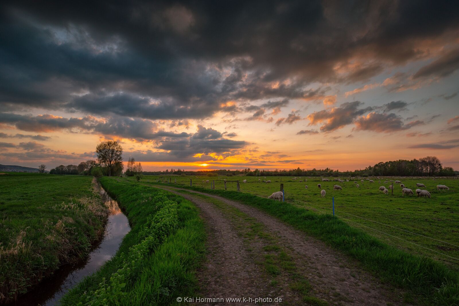 Großes Torfmoor Das Große Torfmoor.