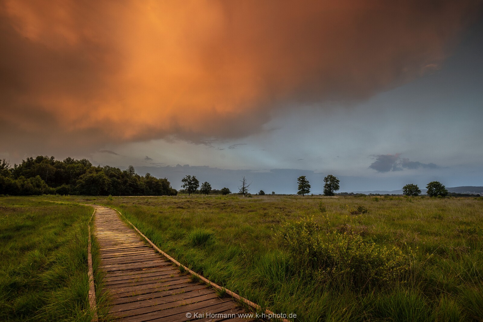 Großes Torfmoor Das Große Torfmoor.