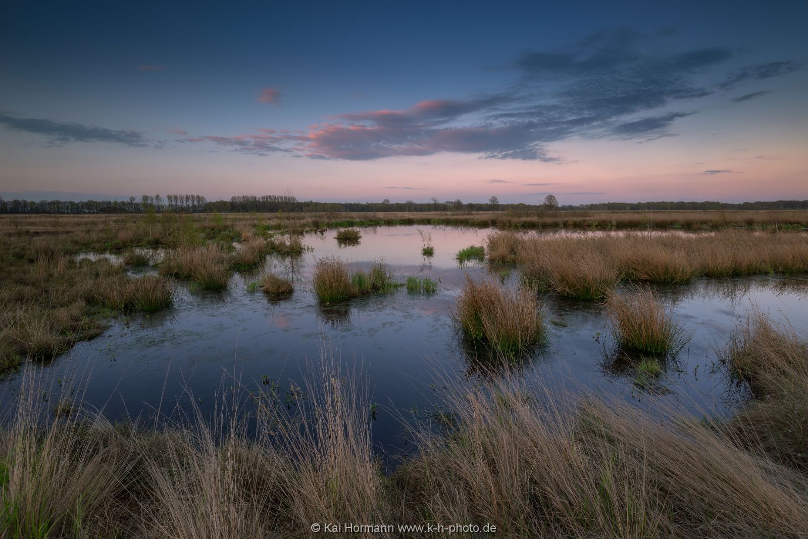 Großes Torfmoor Das Große Torfmoor.