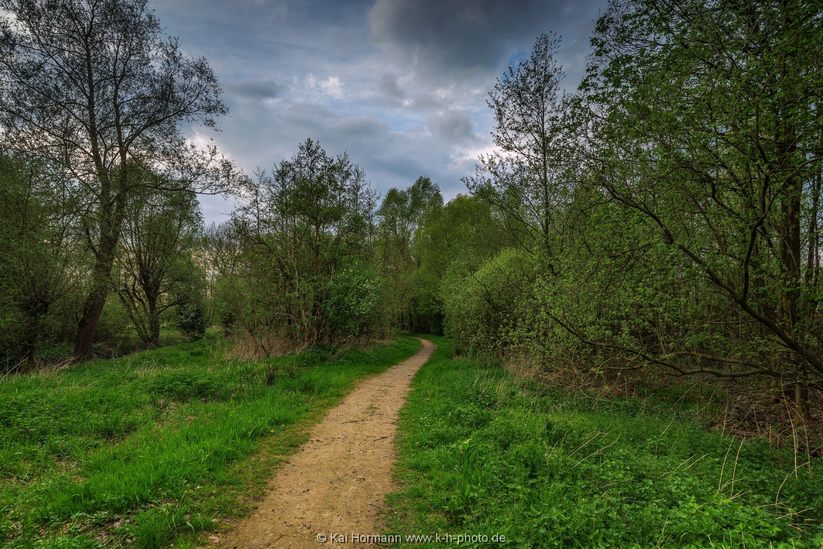 Großes Torfmoor Das Große Torfmoor.