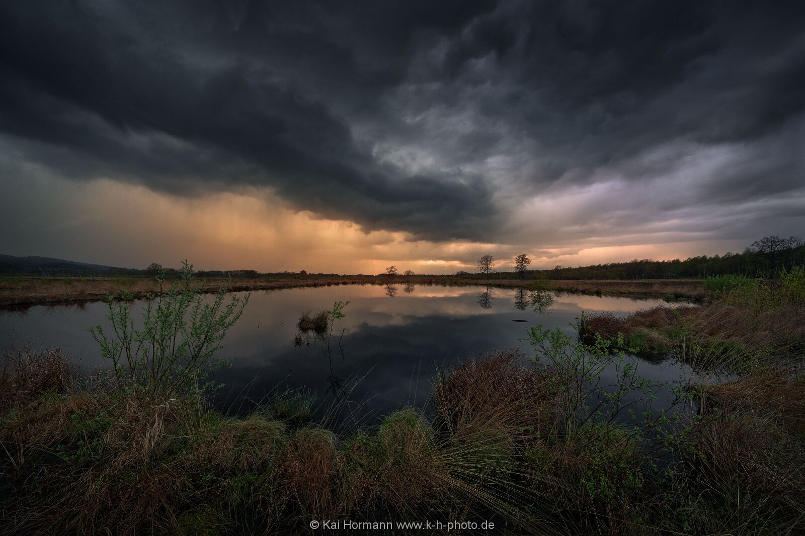 Großes Torfmoor Das Große Torfmoor.