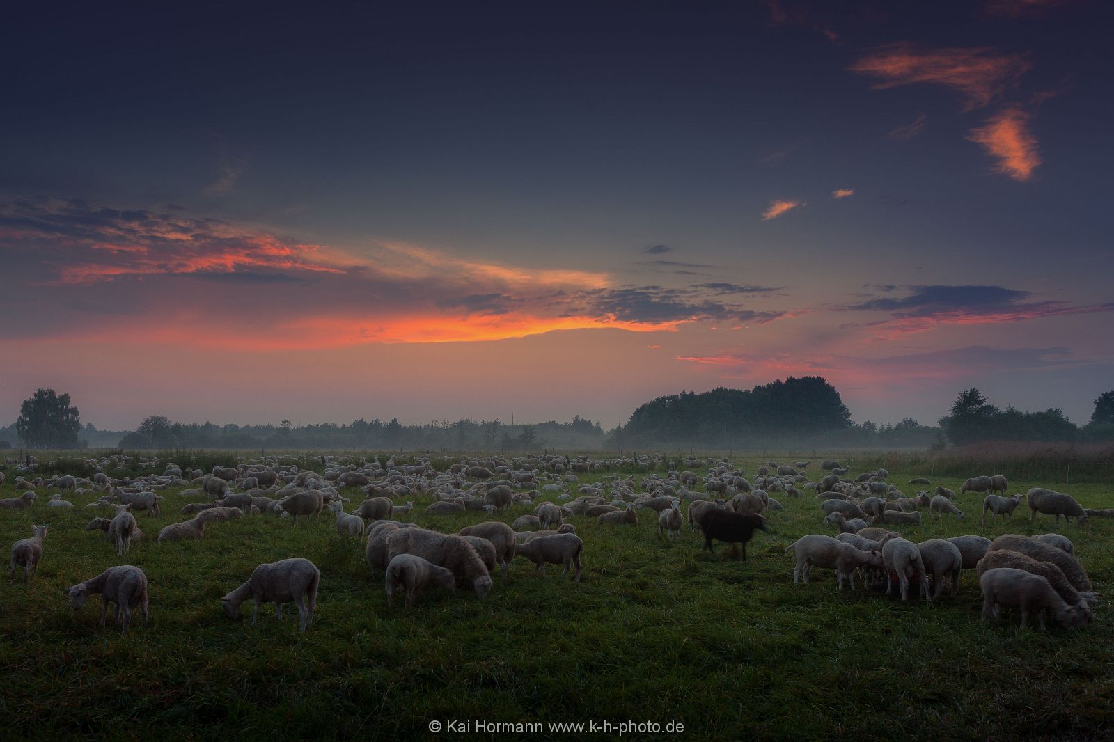 Großes Torfmoor Das Große Torfmoor.