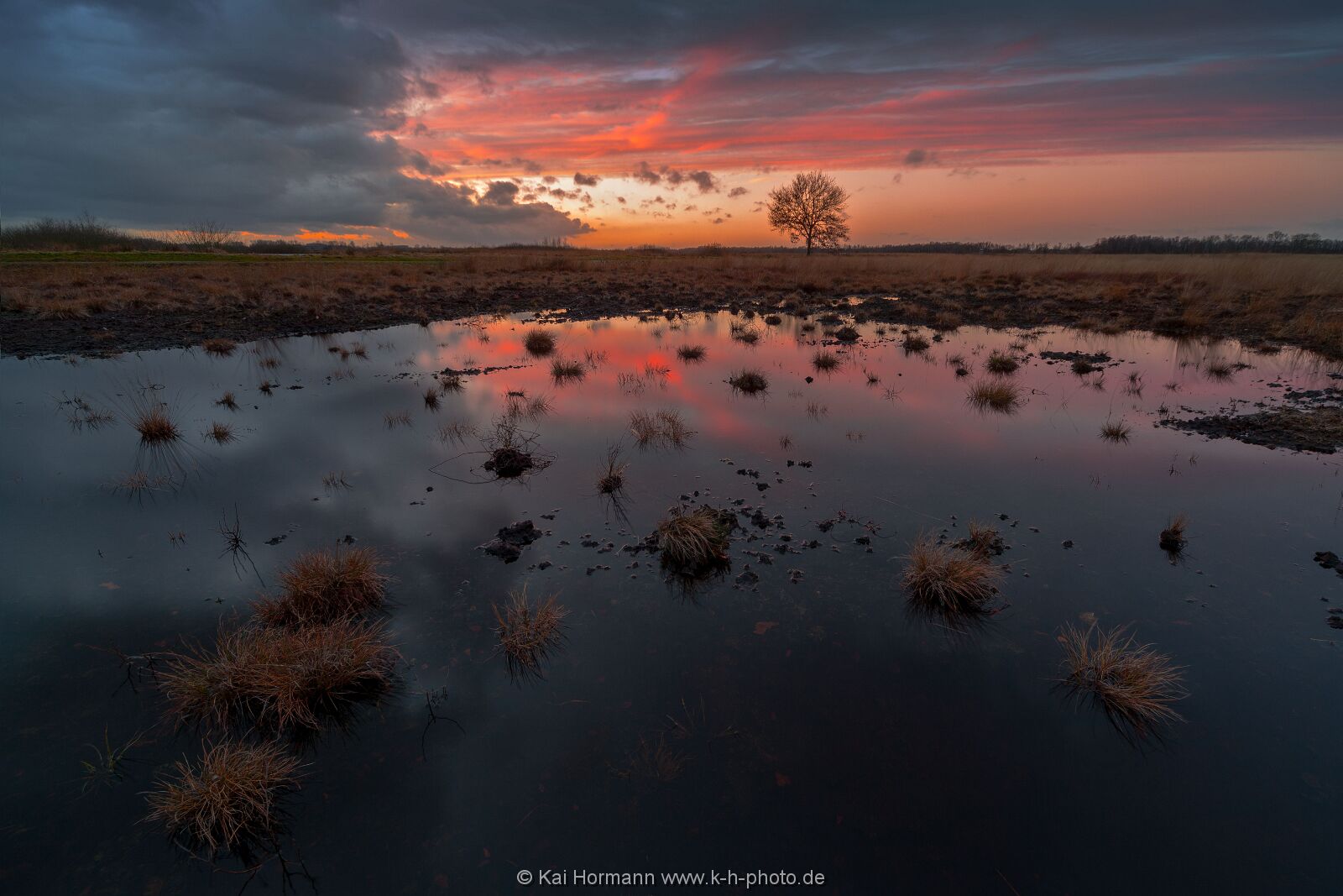 Großes Torfmoor Das Große Torfmoor.