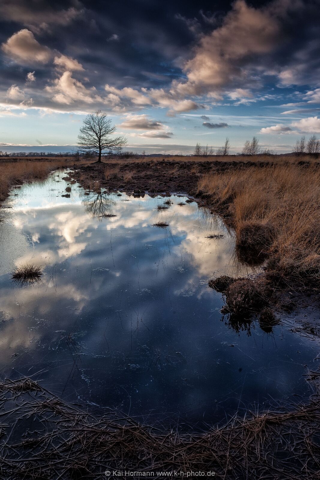 Großes Torfmoor Das Große Torfmoor.