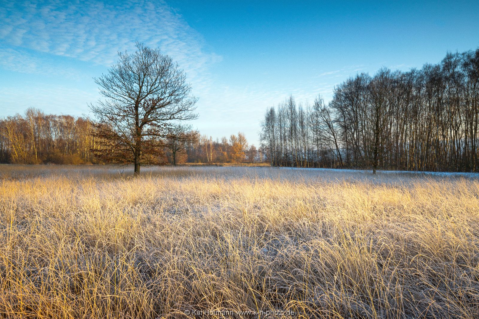 Großes Torfmoor Januar 2025 1. 