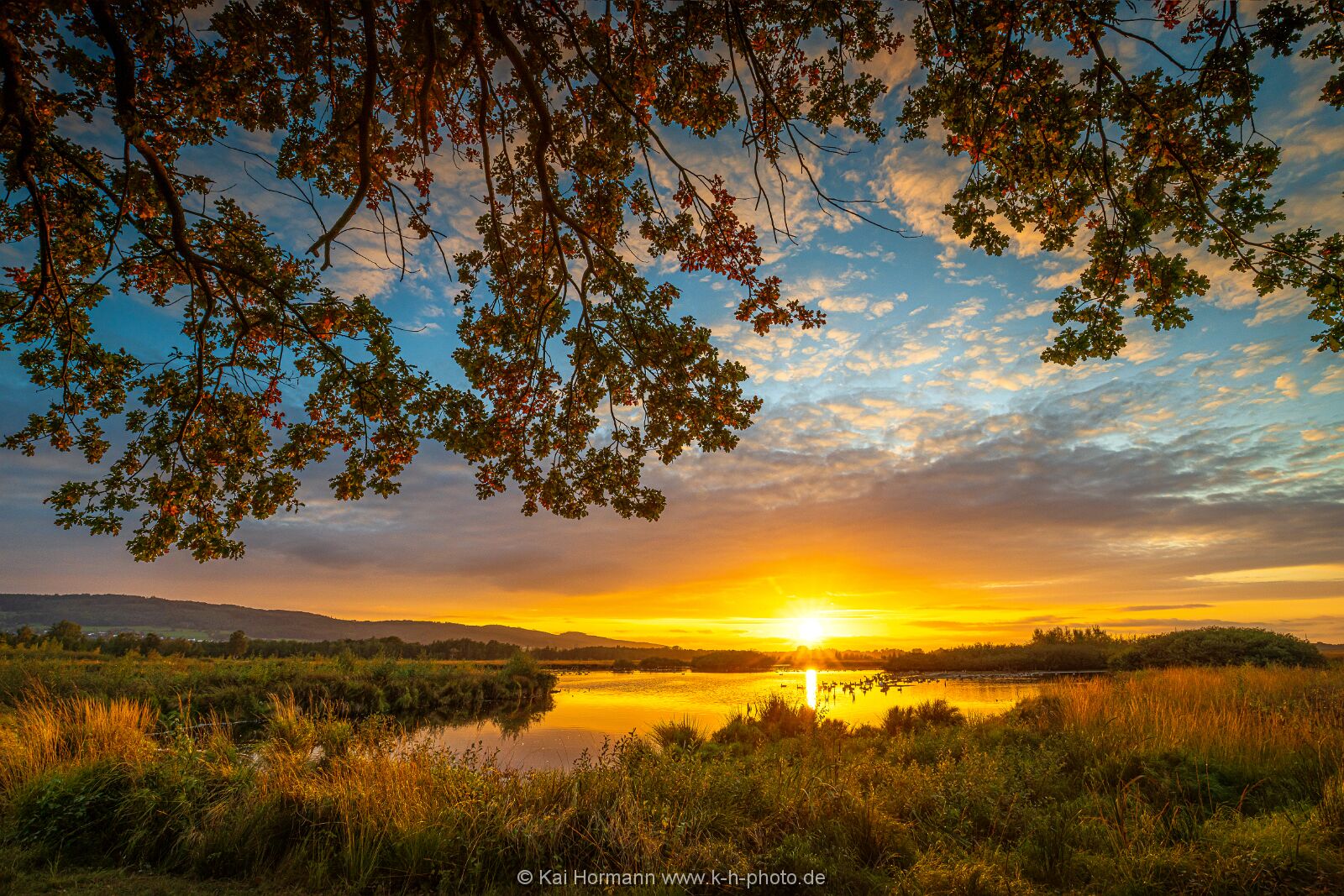 Herbst im großen Torfmoor. Oktober 2025. 